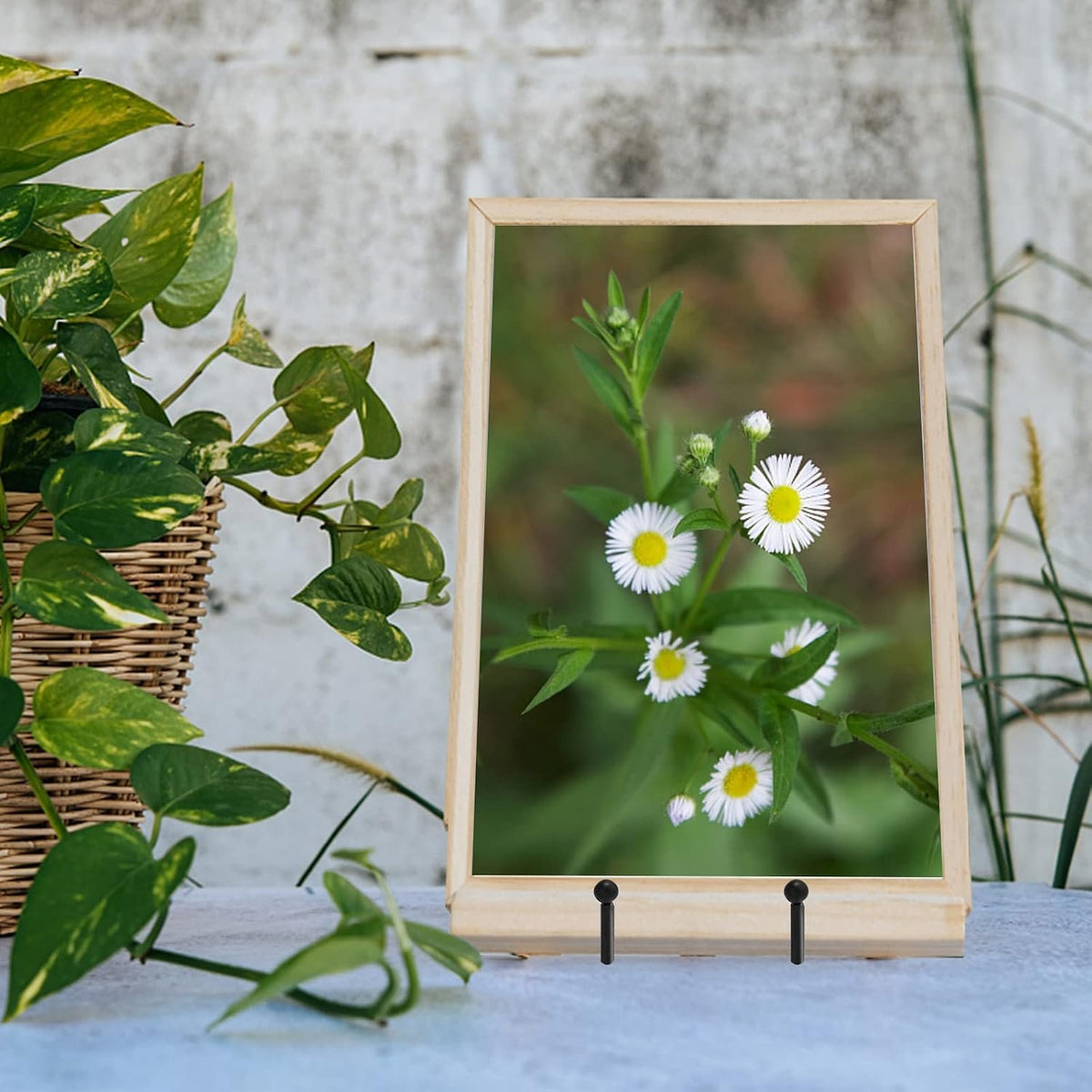 Kittiwake Displayware Small Iron Plate Stands additional product photo